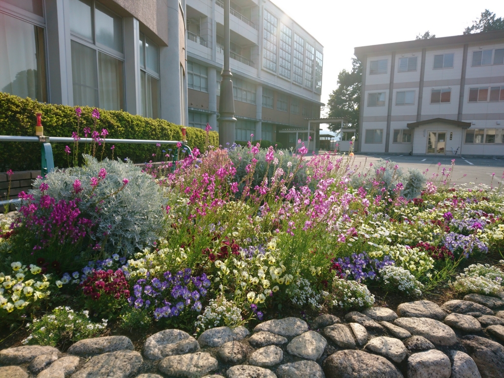 地域活性研究部が 花壇コンクールで優秀賞 教育長賞 を頂きました 富士市立高等学校